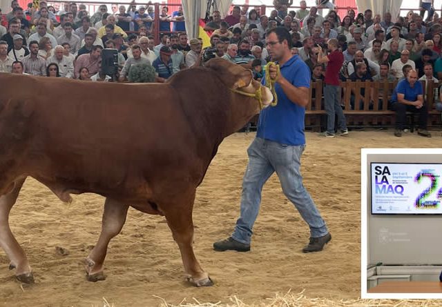 Balance de la feria Salamaq 2024