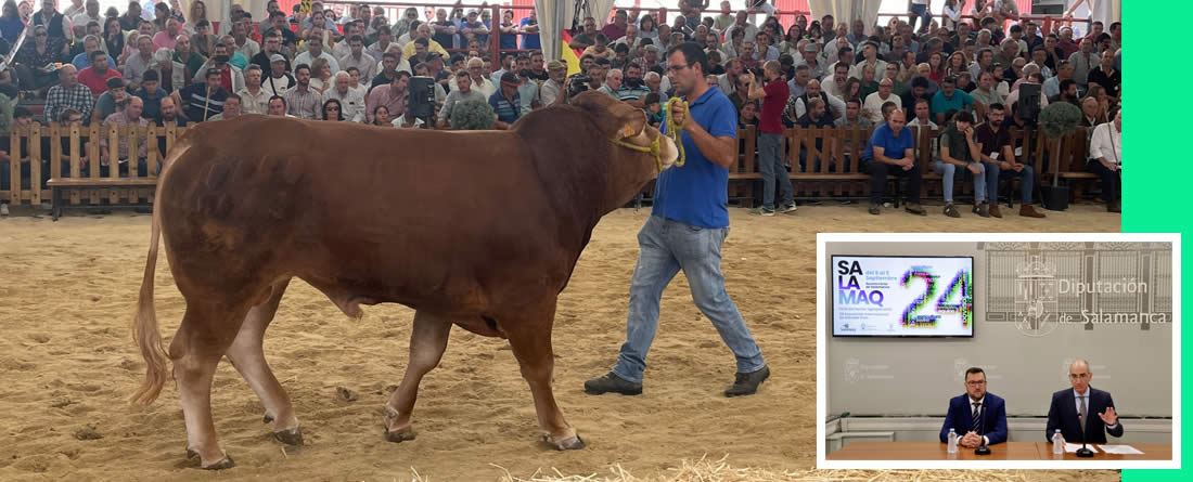 Balance de la feria Salamaq 2024