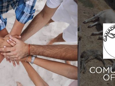 Ganaderos Unidos de CyL asoaciaciones ganaderas