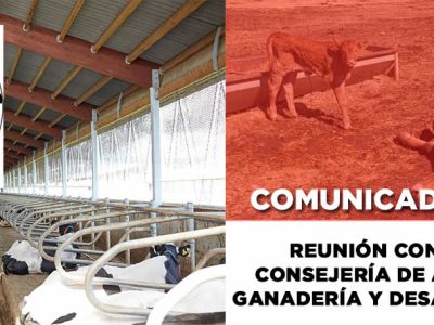 Reunión nueva Consejería Agricultura y Ganadería de Gandaeros Unidos CyL