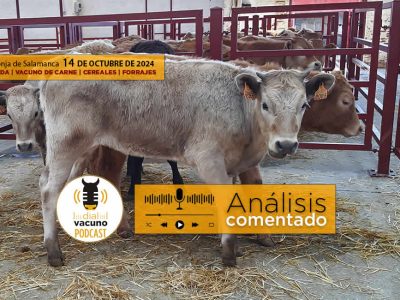 Lonja y mercado de ganado vacuno Salamanca 14 octubre 2024