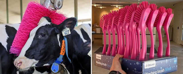 DeLaval edición limitada por el mes del cáncer de mama