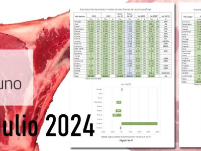 informe provacuno julio 2024 comercio exterior carne de vacuno