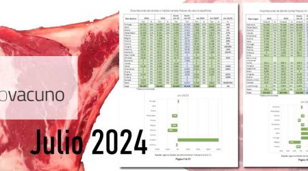 informe provacuno julio 2024 comercio exterior carne de vacuno