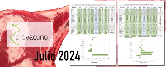 informe provacuno julio 2024 comercio exterior carne de vacuno