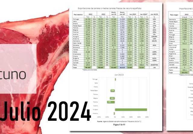 informe provacuno julio 2024 comercio exterior carne de vacuno