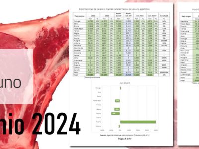 optimizada destacada provacuno 2 octubre