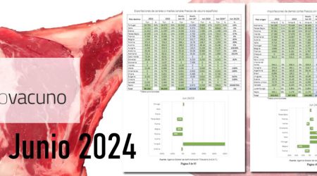 optimizada destacada provacuno 2 octubre