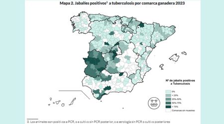 unión de uniones, impacto tuberculosis en jabalíes y fauna salvaje