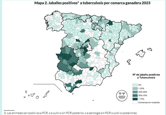 unión de uniones, impacto tuberculosis en jabalíes y fauna salvaje