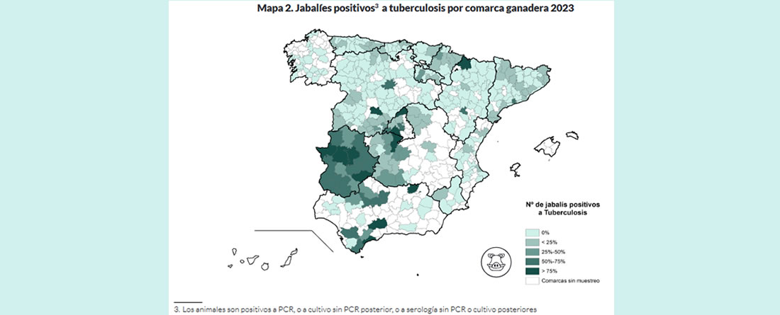 unión de uniones, impacto tuberculosis en jabalíes y fauna salvaje