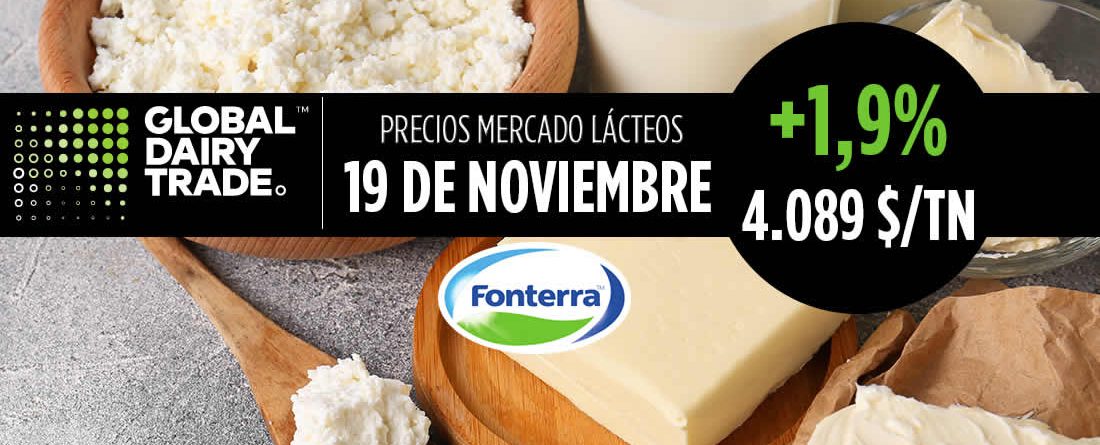 Subasta lácteos Fonterra 19 noviembre de 2024 mantequilla queso y leche