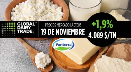 Subasta lácteos Fonterra 19 noviembre de 2024 mantequilla queso y leche