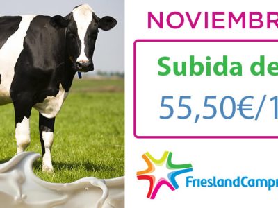 Friesland Campiña precio garantizado leche en granja noviembre 2024