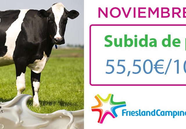 Friesland Campiña precio garantizado leche en granja noviembre 2024