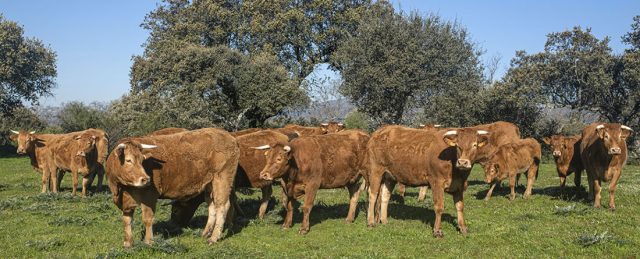 destacada np asoprovac por el acuerdo de la ue con mercosur