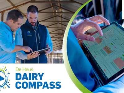 Dairy Compass De Heus Vacuno lechero