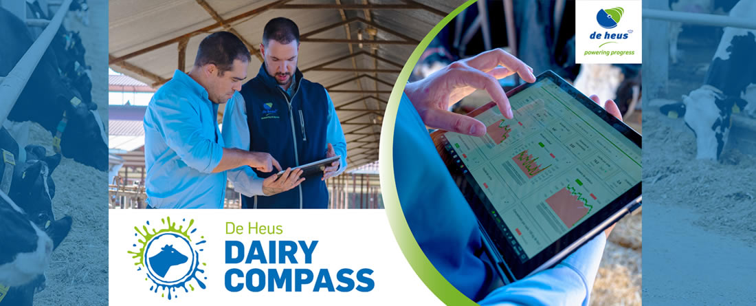 Dairy Compass De Heus Vacuno lechero