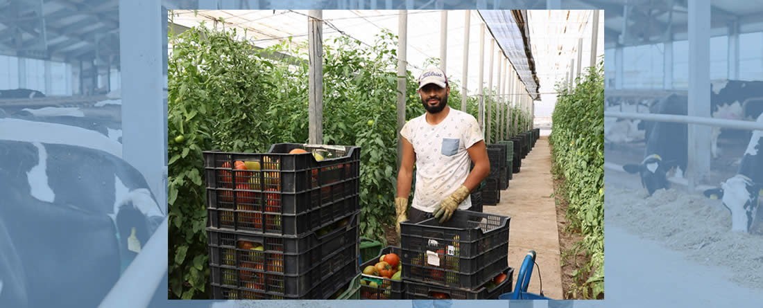 Extranjería UPA notas de prensa migrantes visados