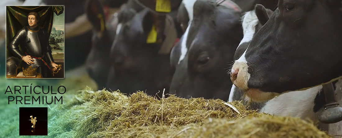 Alimentación vacas lecheras Holstein Frisona ordeño con robot