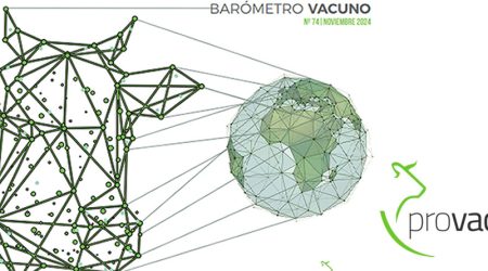 BARÓMETRO VACUNO DE PROVACUNO PARA NOVIEMBRE 2024