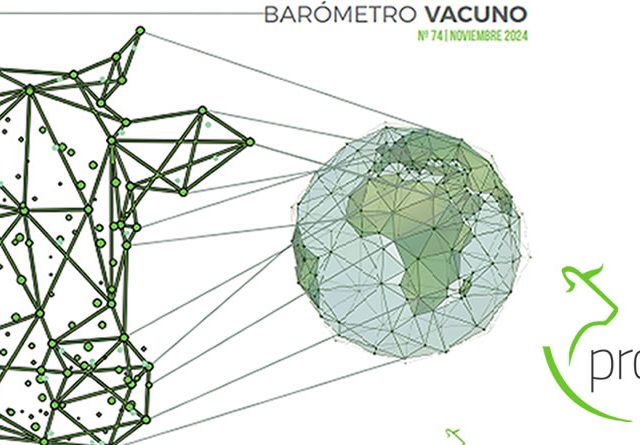 BARÓMETRO VACUNO DE PROVACUNO PARA NOVIEMBRE 2024