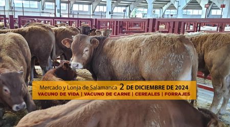 Lonja Salamanca ganado vacuno 2 diciembre 2024