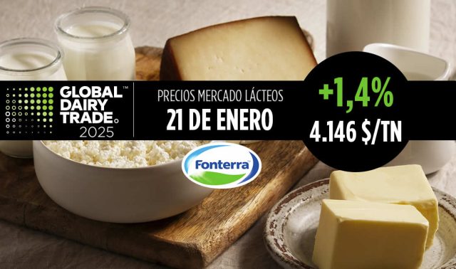 Subasta lácteos Fonterra 21 enero 2025 leche mantequilla y queso cheddar