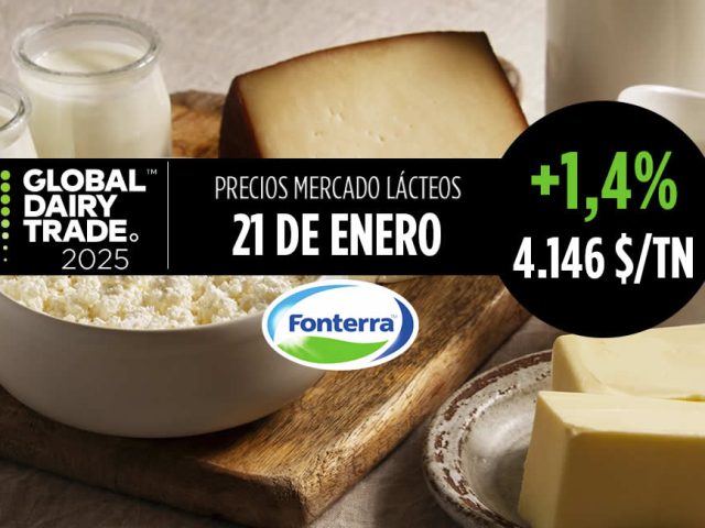 Subasta lácteos Fonterra 21 enero 2025 leche mantequilla y queso cheddar