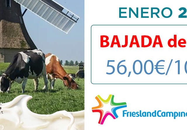 Friesland Campiña Precio garantizado leche en granja Enero 2025