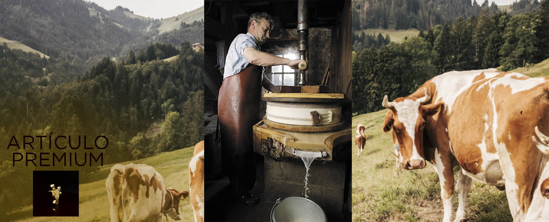 ¡Un queso de altura! - Le Gruyère d´alpage AOP, la joya suiza que solo se elabora 6 meses al año