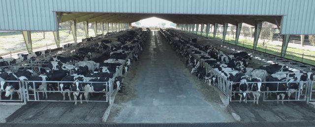 Lactalis estudiará con el CSIC la forma de reducir las emisiones de efecto invernadero de sus granjas colaboradoras