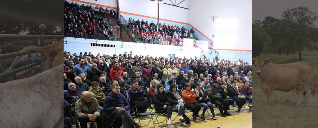 Reunión ganaderos en Tineo en protesta ante el nuevo protocolo contra la tuberculosis bovina