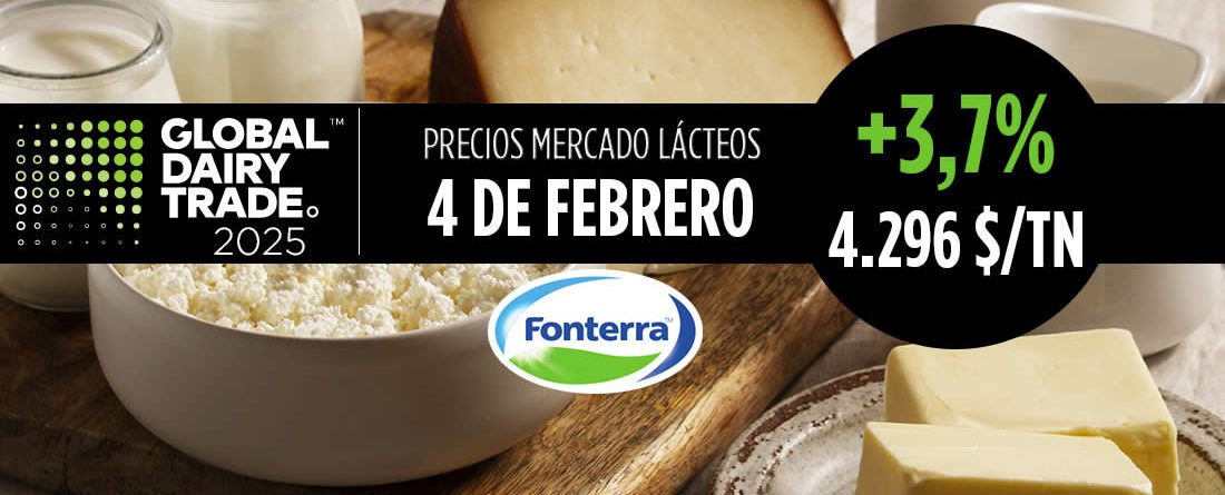 Subasta lácteos Fonterra 4 febrero 2025 con leche mantequilla y queso Cheddar