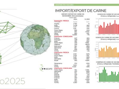 Informe barómetro Provacuno para exportaciones de carne de vacuno Enero 2025