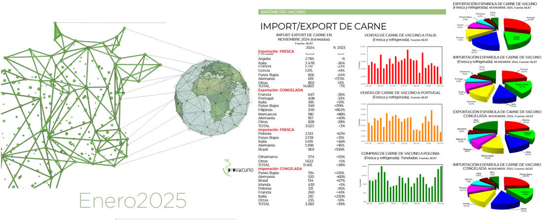 Informe barómetro Provacuno para exportaciones de carne de vacuno Enero 2025