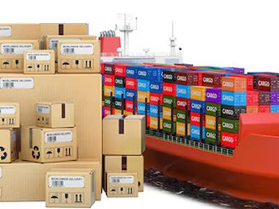 provacuno informe de comercio exterior noviembre 2024