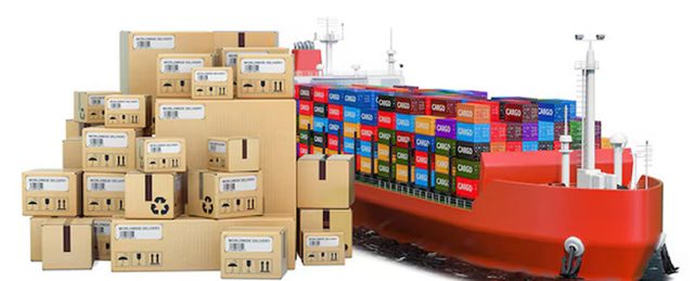 provacuno informe de comercio exterior noviembre 2024