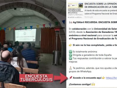 Se presentan los resultados del estudio sobre la Enfermedad Hemorrágica Epizoótica