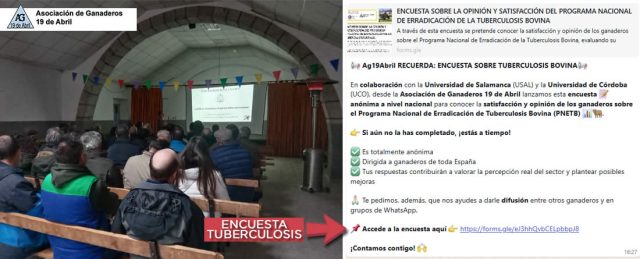 Se presentan los resultados del estudio sobre la Enfermedad Hemorrágica Epizoótica