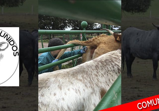 Ganaderos unidos cyl decide iniciar una batalla judicial ante los atropellos diarios a los que nos somete la administración