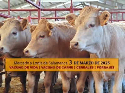 Análisis de la lonja y mercado de ganado de Salamanca 3 de marzo 2025