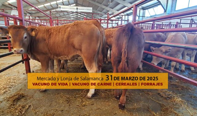 Análisis de la lonja y mercado de ganado de Salamanca 31 de marzo