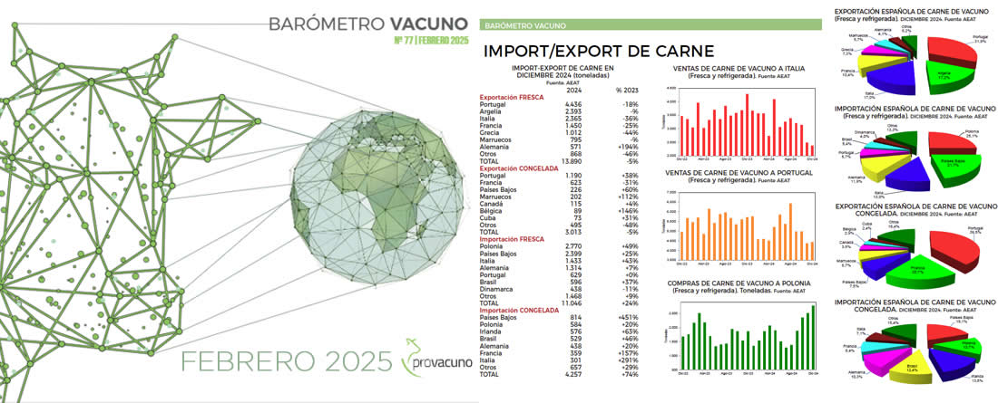 Barómetro de comercio carne de vacuno Provacuno Febrero 2025