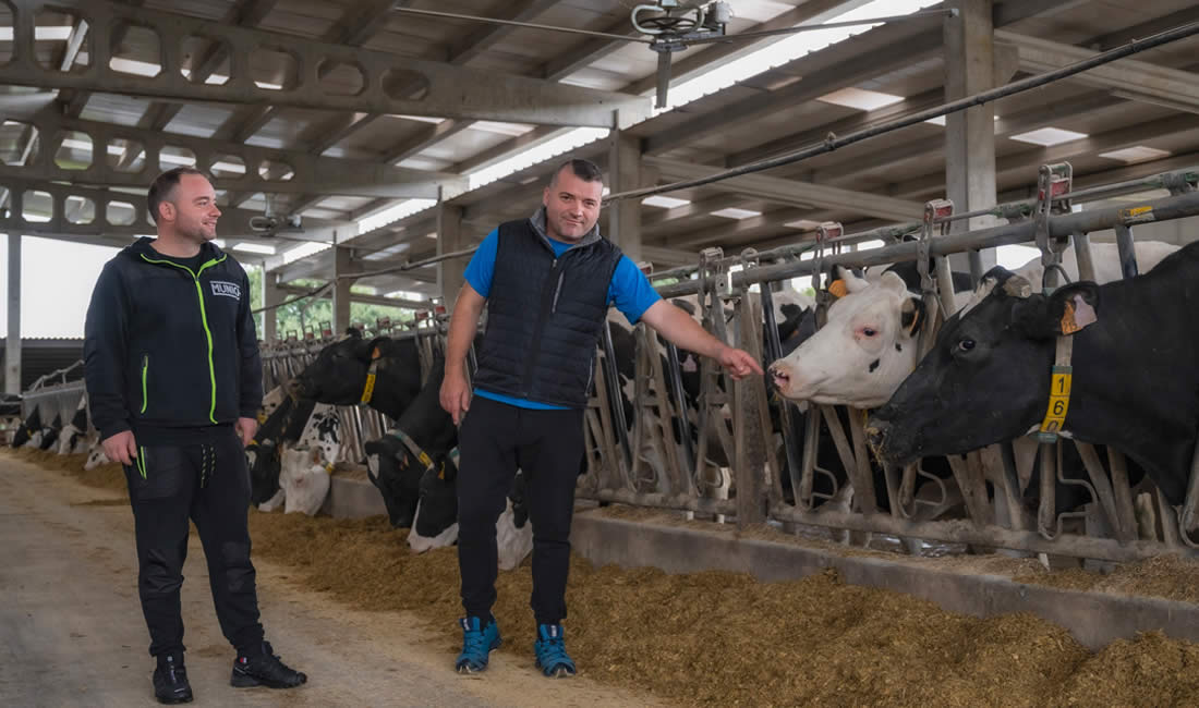 DeLaval VMS™ Batch Milking, está transformando las granjas y el ordeño en todo el mundo