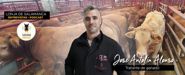 Lonja de Salamanca, entrevista con José Antolín Alonso, tratante de la mesa de vacuno de vida