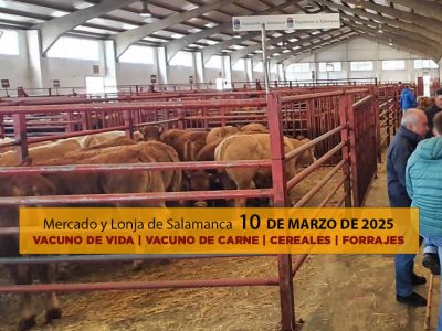 Análisis de la lonja y mercado de ganado de Salamanca 10 de marzo 2025