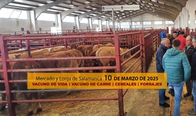 Análisis de la lonja y mercado de ganado de Salamanca 10 de marzo 2025