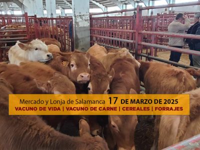 Análisis de la lonja y mercado de ganado de Salamanca 17 de marzo de 2025