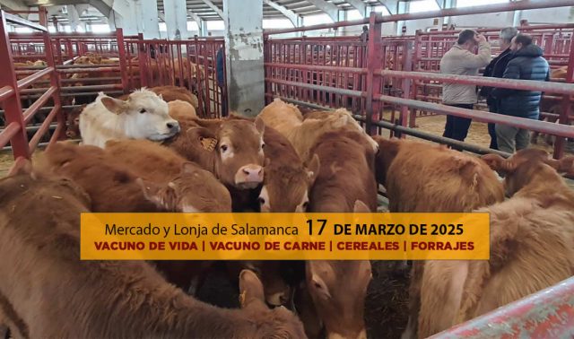 Análisis de la lonja y mercado de ganado de Salamanca 17 de marzo de 2025